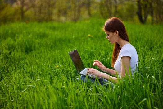 a woman works remotely at a laptop being outdoors in tall grass. High quality photo