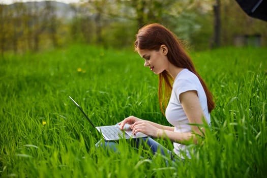 Young beautiful woman using laptop on meadow. High quality photo