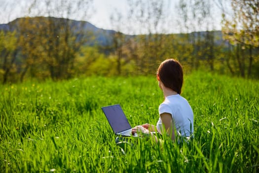 a woman in a light T-shirt works at a laptop while sitting in high green grass. High quality photo