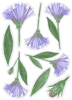 Sticker Pack of Blue Flowers with Green Leaves Isolated on White Background. Blue Flower Elements Drawn by Colored Pencil Collection.