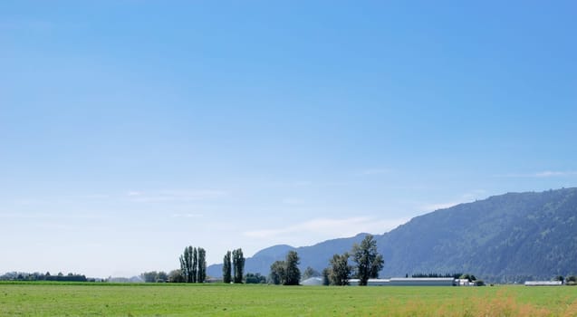 Farm fields in Fraser valley on bright summer day.