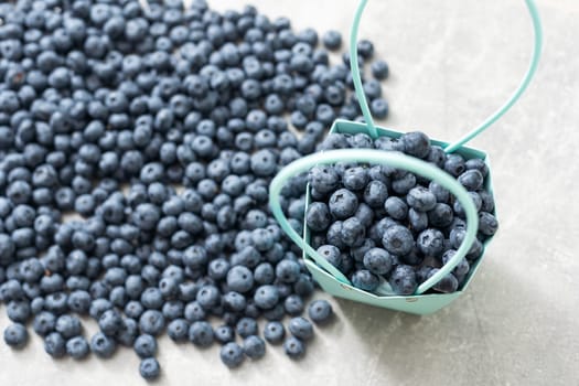 large blueberry with paper basket.