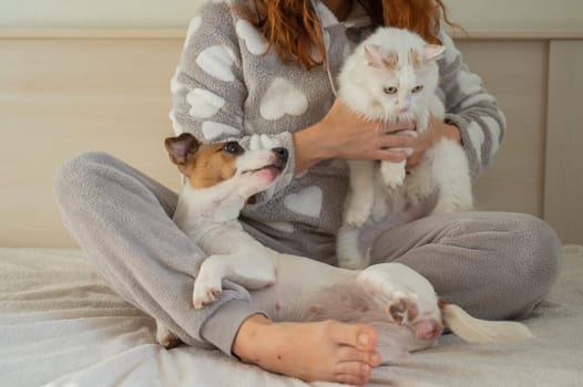 Caucasian woman holding a white fluffy cat and Jack Russell Terrier dog while sitting on the bed. The red-haired girl hugs with pets