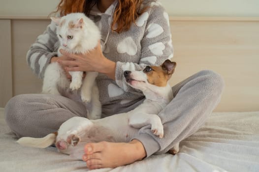 Caucasian woman holding a white fluffy cat and Jack Russell Terrier dog while sitting on the bed. The red-haired girl hugs with pets