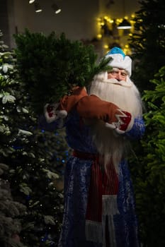 Russian santa claus buys a christmas tree in the store