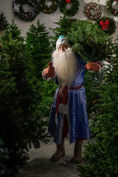 Russian santa claus buys a christmas tree in the store