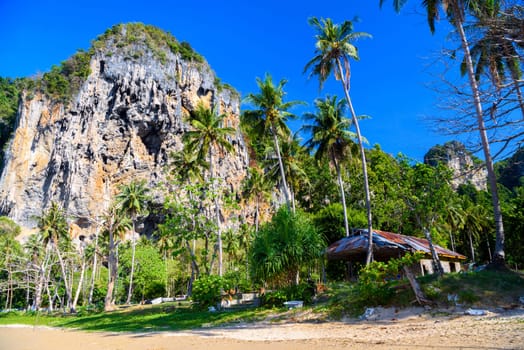 Tropical beach with coconut palms and cliff rocks in the background, Tonsai Bay, Railay Beach, Ao Nang, Krabi, Thailand.