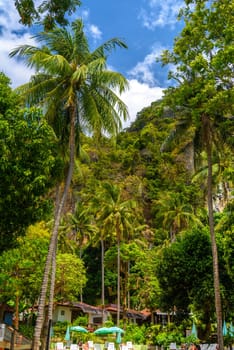 Palms and bungalows near the cliffs on Ao Phra Nang Beach, Railay east Ao Nang, Krabi, Thailand.