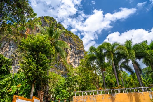 Palms near the cliffs on Ao Phra Nang Beach, Railay east Ao Nang, Krabi, Thailand.