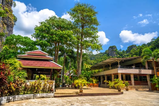 Houses and different palms in the village on Railay beach west, Ao Nang, Krabi, Thailand.