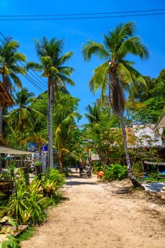 Houses and different palms in the village on Railay beach west, Ao Nang, Krabi, Thailand.