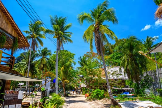 Houses and different palms in the village on Railay beach west, Ao Nang, Krabi, Thailand.