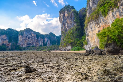 Low tide water on Tonsai Bay, Railay Beach, Ao Nang, Krabi, Thailand.