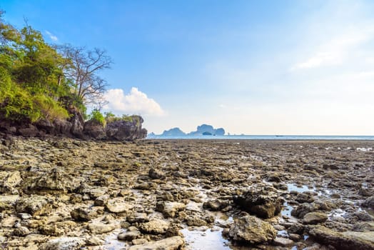 Low tide water on Tonsai Bay, Railay Beach, Ao Nang, Krabi, Thailand.