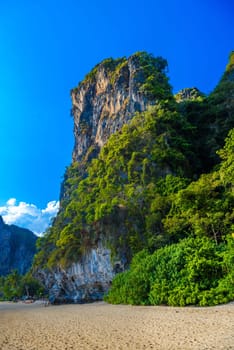 Rocks cliffs with palms on Tonsai Bay, Railay Beach, Ao Nang, Krabi, Thailand.