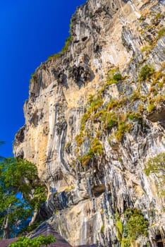 Rocks cliffs with palms on Tonsai Bay, Railay Beach, Ao Nang, Krabi, Thailand.