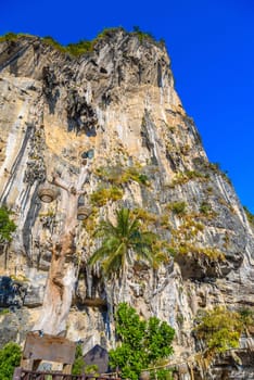 Rocks cliffs with palms on Tonsai Bay, Railay Beach, Ao Nang, Krabi, Thailand.