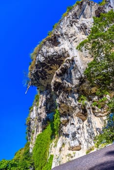 Rocks cliffs with palms on Tonsai Bay, Railay Beach, Ao Nang, Krabi, Thailand.