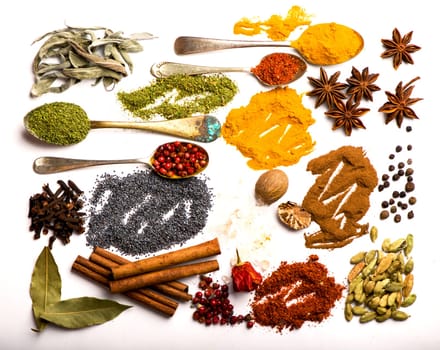 spices and herbs on white background. top view.