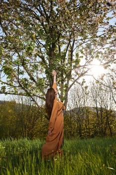 a slender woman with long red hair stands in the countryside near a flowering tree in a long orange dress and standing sideways to the camera reaches for the branches. High quality photo