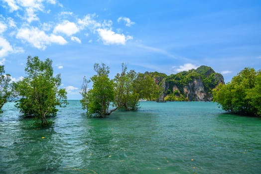 Tropical trees are growing in azure water with cliffs and rocks in the background, Ao Phra Nang Beach, Railay east Ao Nang, Krabi, Thailand.