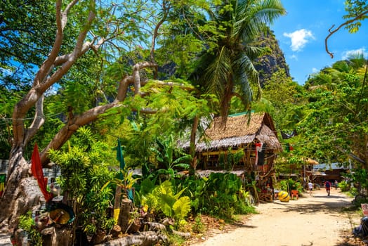 Houses and different palms in the village on Railay beach west, Ao Nang, Krabi, Thailand.