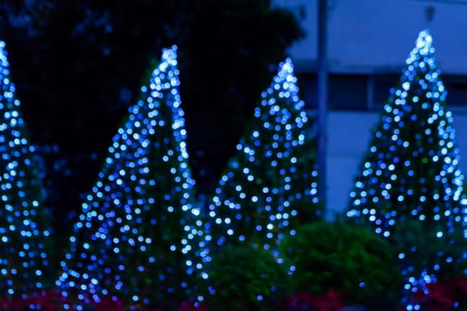 The Merry Christmas & A Happy New Year Festival.
