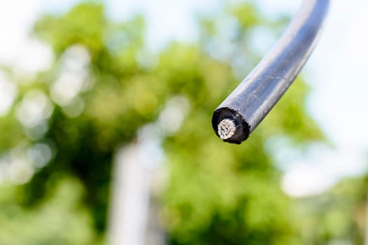 The big black cable on nature background