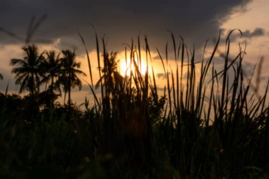 Sun Beam in Dark Clouds and Sky before Thunderstorm.