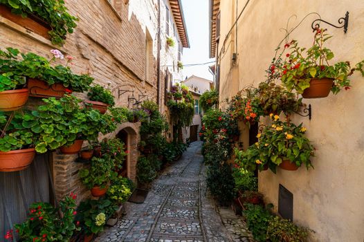 alley with flowers typical of the town of Spello