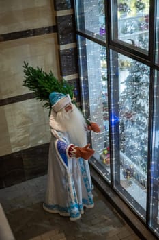 Russian santa claus delivering a Christmas tree from the store