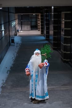 Russian Santa Claus carries a Christmas tree at night outdoors