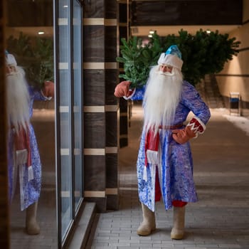 Russian Santa Claus carries a Christmas tree at night outdoors