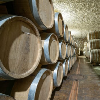 The wooden wine barrels in a wine factory