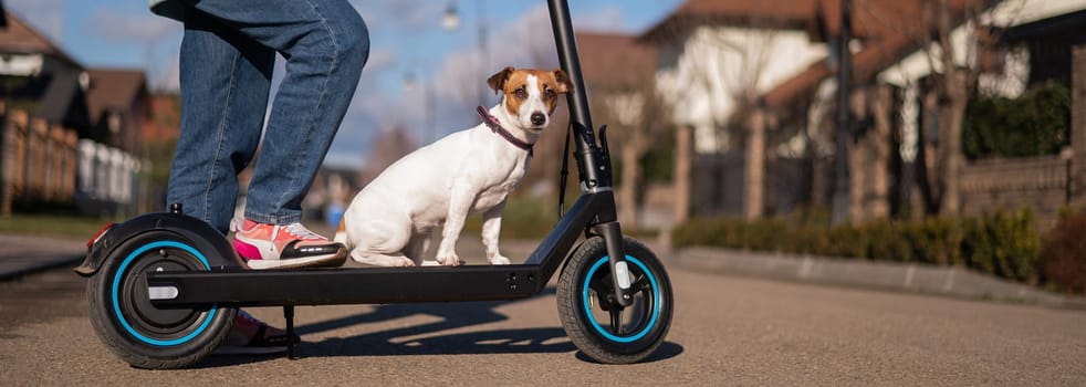 A woman rides an electric scooter in a cottage village with a dog Jack Russell Terrier