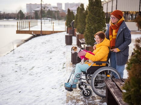 A woman in a wheelchair walks with her friend and a dog by the lake in winter