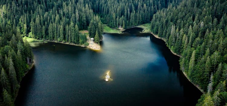 Lake Synevir framed by pine wood in Carpathian Mountains, view from drone