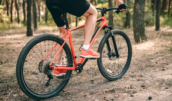 Bicycle with man riding through pine forest