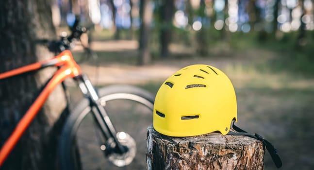 Bicycle helmet and bike in pine forest