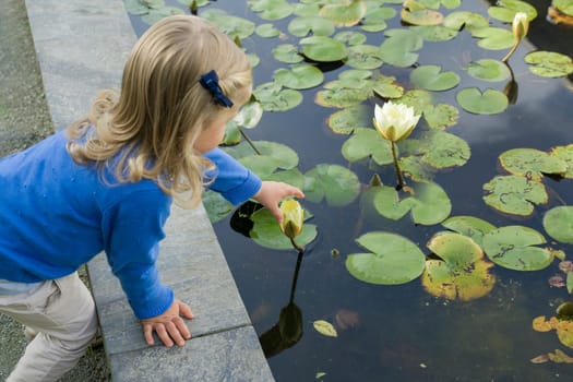 Girl trying picking yellow water lily flowers