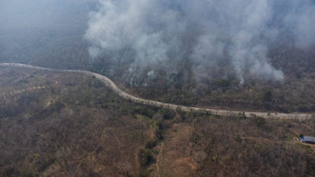 Aerial drone view of a wildfire burning through a forest area, fills the sky with dark smoke in the woods near the edge of the highway. Burning Forest. Air pollution concept