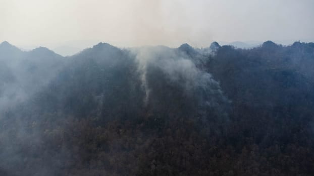 Aerial drone view of a wildfire burning through a forest area, fills the sky with dark smoke in the woods near the edge of the highway. Burning Forest. Air pollution concept