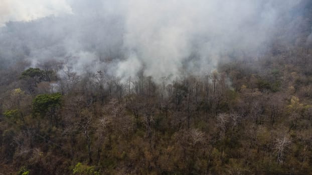 Aerial drone view of a wildfire burning through a forest area, fills the sky with dark smoke in the woods near the edge of the highway. Burning Forest. Air pollution concept