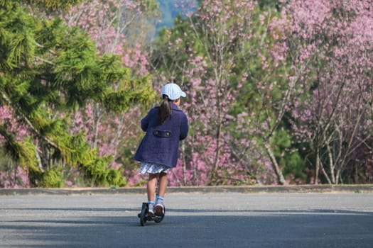 Cute little girl riding scooter on street in outdoor park on summer day. Happy Asian girl riding a kick scooter in the park. Active leisure and outdoor sport for child.
