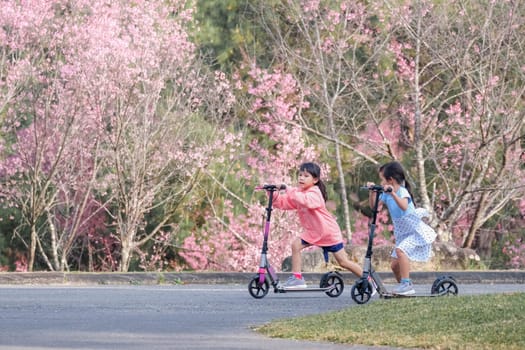 Active sisters riding scooters on street in outdoor park on summer day. Happy Asian kids riding kick scooters in the park. Active leisure and outdoor sport for child.