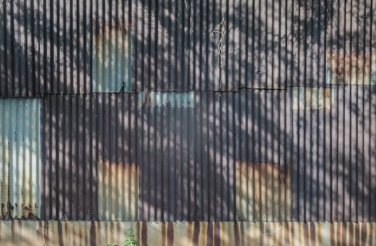 Artistic of old and rusty zinc sheet wall with The shadow of the bright sunlight shining through trees and leaves beautifully. Corrosion of Old rust galvanized sheet used to make a house fence, Space for text, Selective focus.