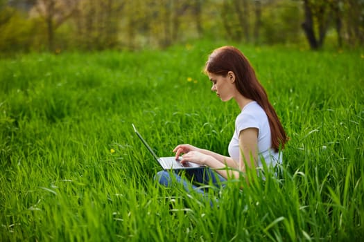 female freelancer working in nature sits in the grass in nature with a laptop on a sunny summer day. High quality photo