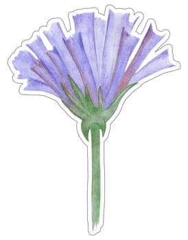 Blue Flower Sticker Isolated on White Background. Blue Flower Element Drawn by Colored Pencil.
