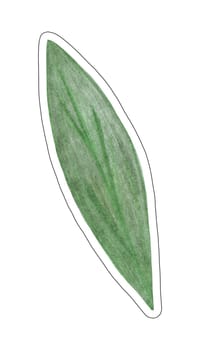 Green Leaf Sticker of Flower Isolated on White Background. Flower Leaf Element Drawn by Color Pencil.