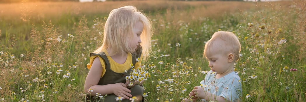 A little boy and a girl are picking flowers in a chamomile field. The concept of walking in nature, freedom and a healthy lifestyle.